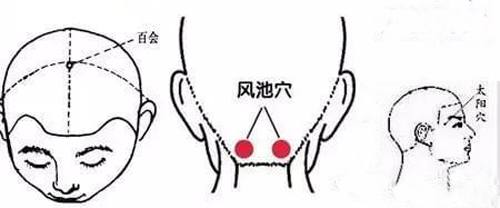 缓解‘春困’的五大穴位-第1张图片-中国中医健康网