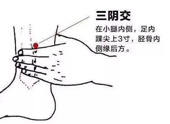 缓解‘春困’的五大穴位-第3张图片-中国中医健康网